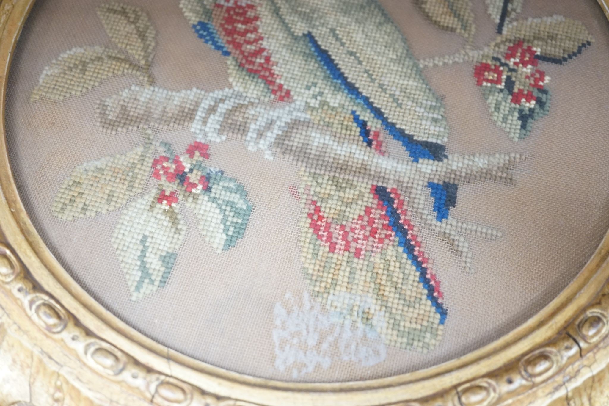 A pair of 19th century giltwood framed circular needleworks of parrots, 26cm diameter excl frame